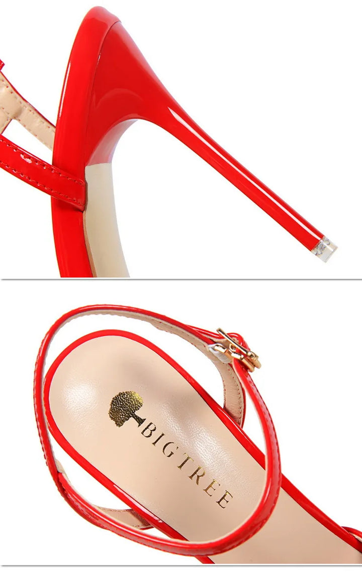 Shiny Pointed Heel Shoes with Buckle Closure - Daniella