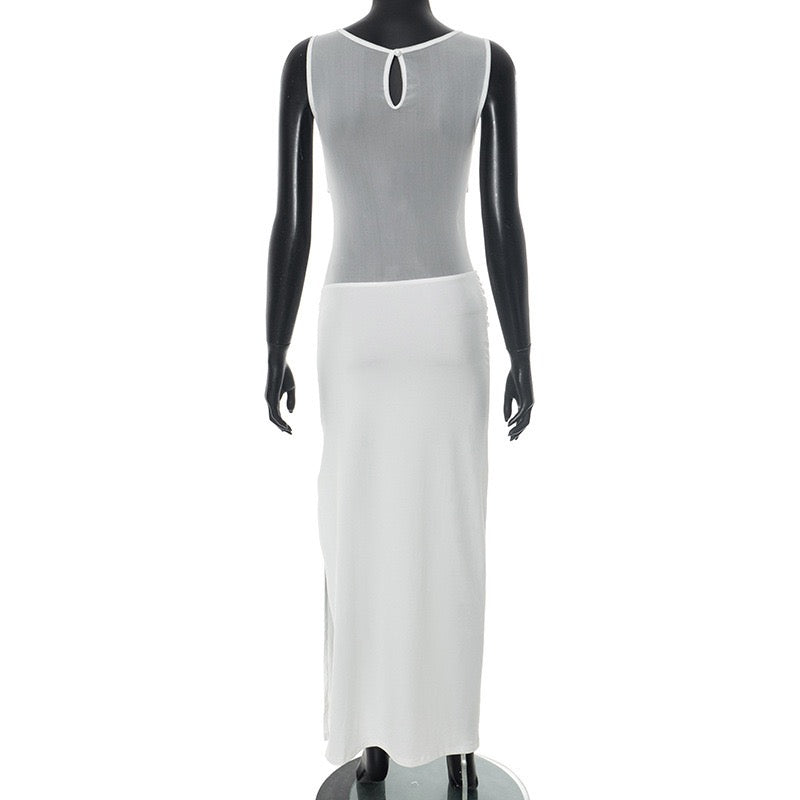 Albina pleated and mesh maxi dress