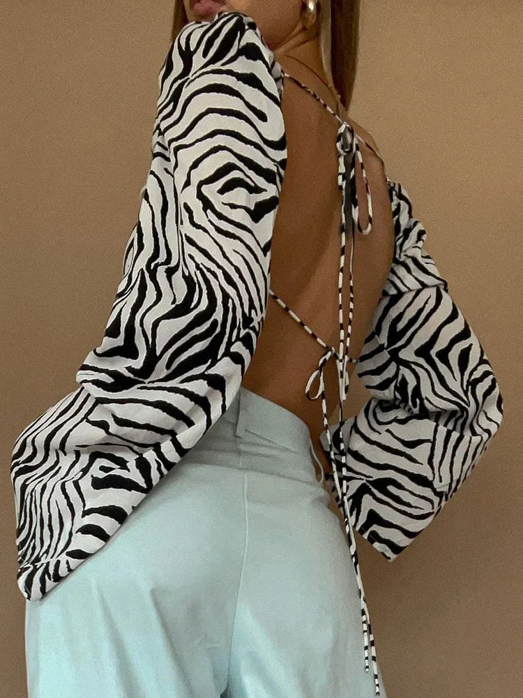 חולצת זברה - זיווי