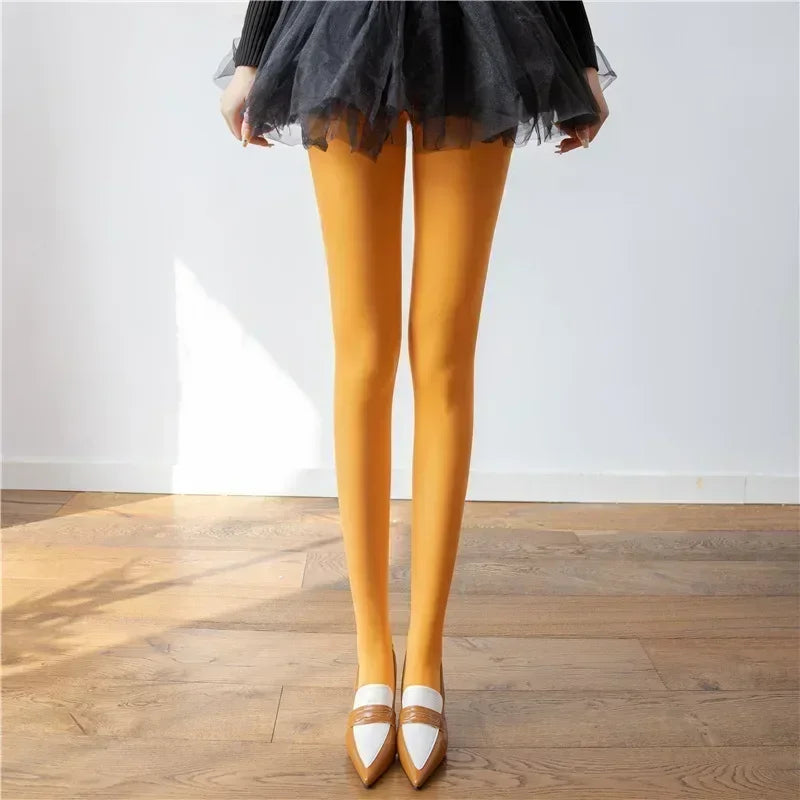 Opaque / sheer tights in a variety of colors