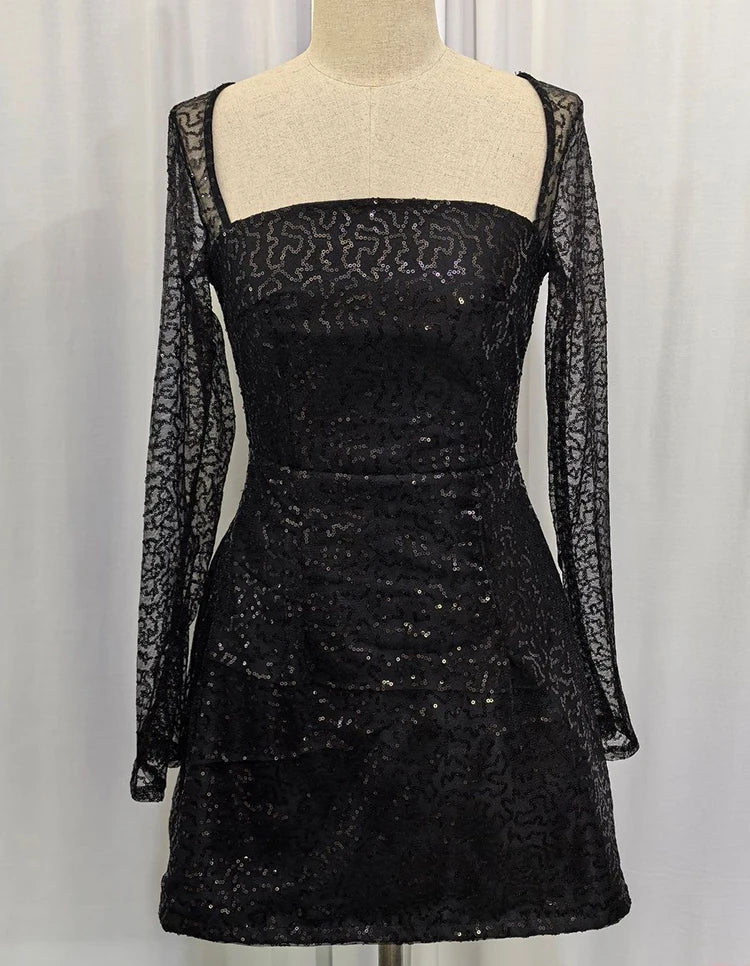 שמלת מיני בעיטור פייטים מנצנצים בגזרת A שרוולי רשת - Skylar